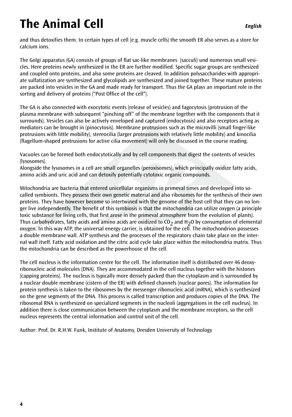 The animal cell | 3B Scientific Animal cell model User Manual | Page 4 / 36