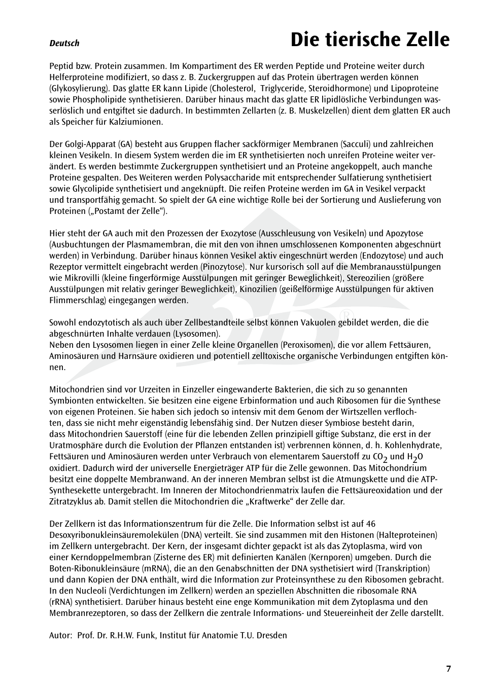 Die tierische zelle | 3B Scientific Animal cell model User Manual | Page 7 / 36