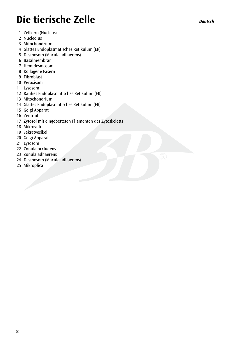 Die tierische zelle | 3B Scientific Animal cell model User Manual | Page 8 / 36