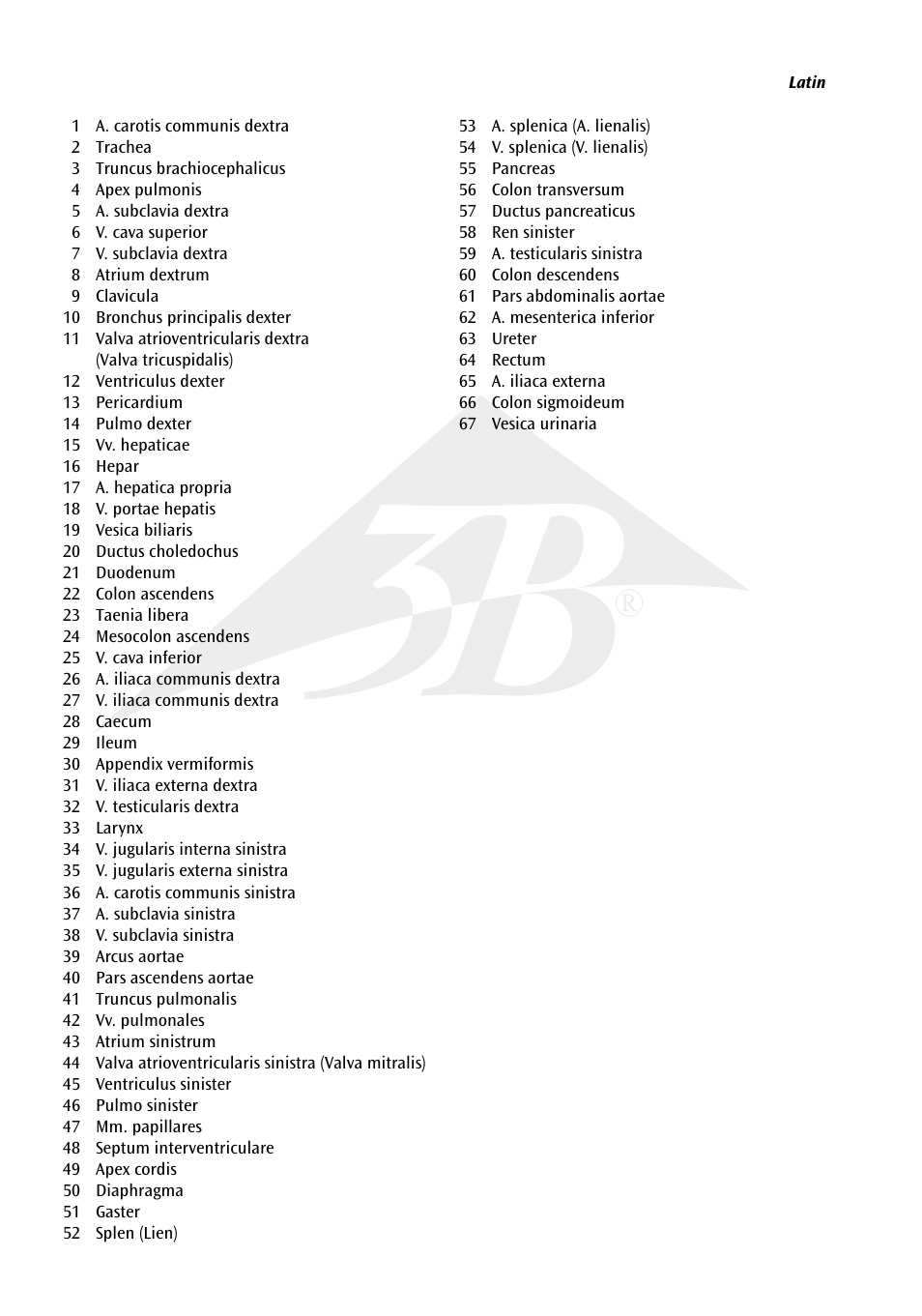 3B Scientific Internal organs Chart User Manual | Page 2 / 16