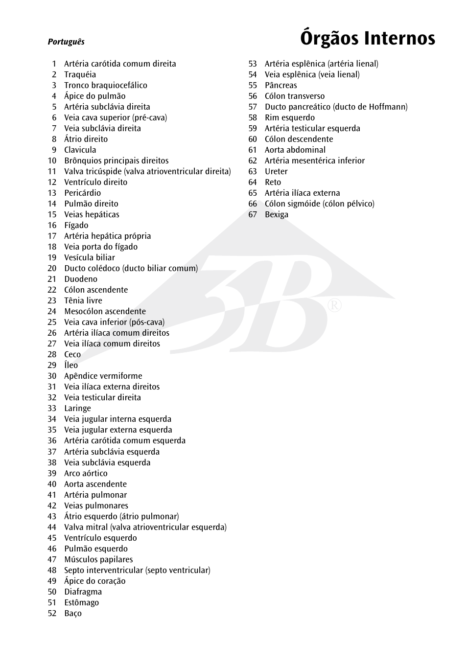 Name órgãos internos | 3B Scientific Internal organs Chart User Manual | Page 9 / 16