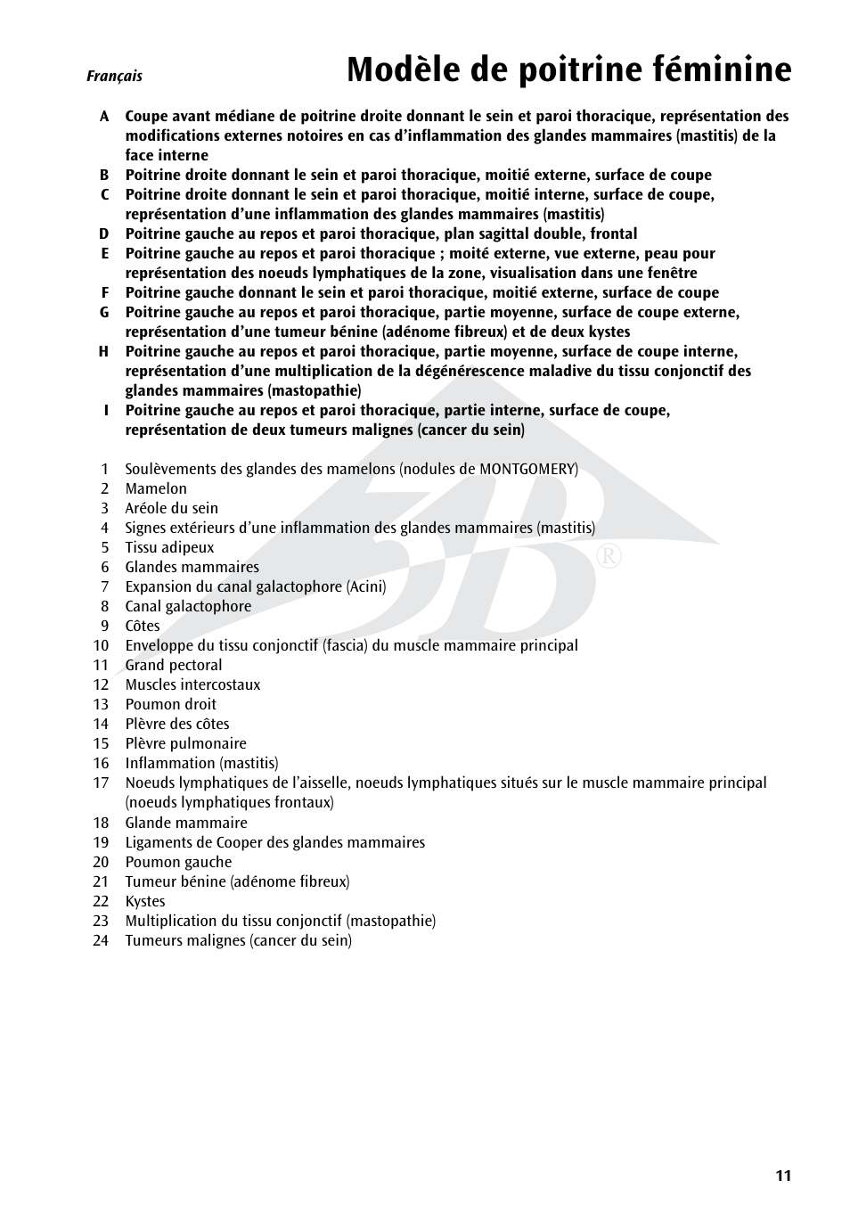 Modèle de poitrine féminine | 3B Scientific Model of female breast User Manual | Page 10 / 30
