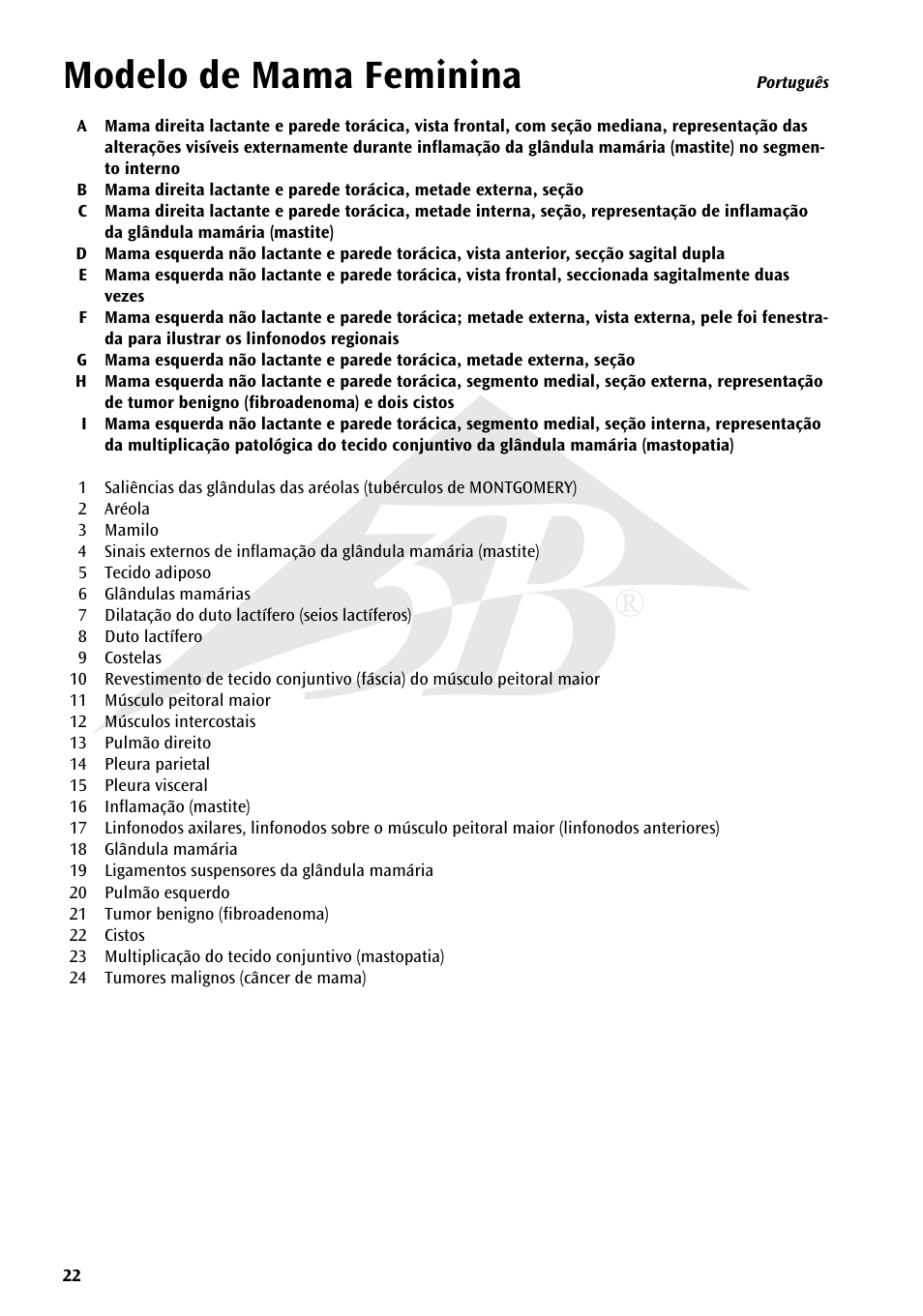 Modelo de mama feminina | 3B Scientific Model of female breast User Manual | Page 21 / 30