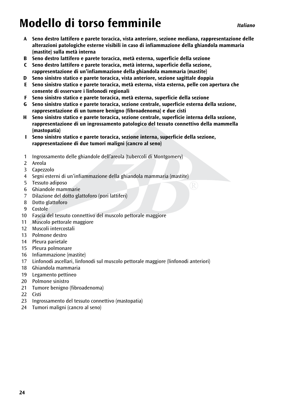 Modello di torso femminile | 3B Scientific Model of female breast User Manual | Page 23 / 30