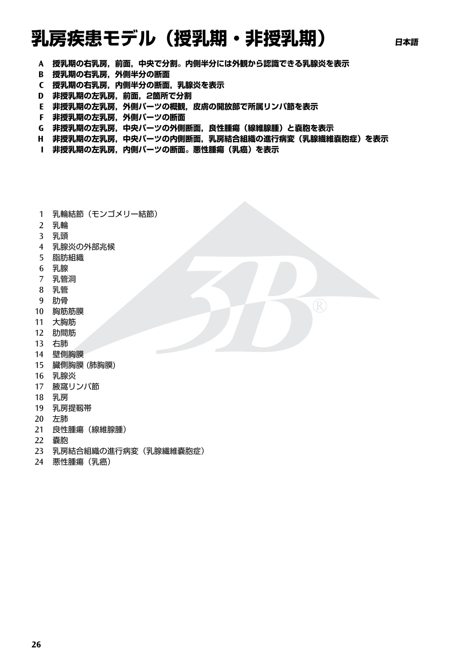 乳房疾患モデル（授乳期・非授乳期 | 3B Scientific Model of female breast User Manual | Page 25 / 30