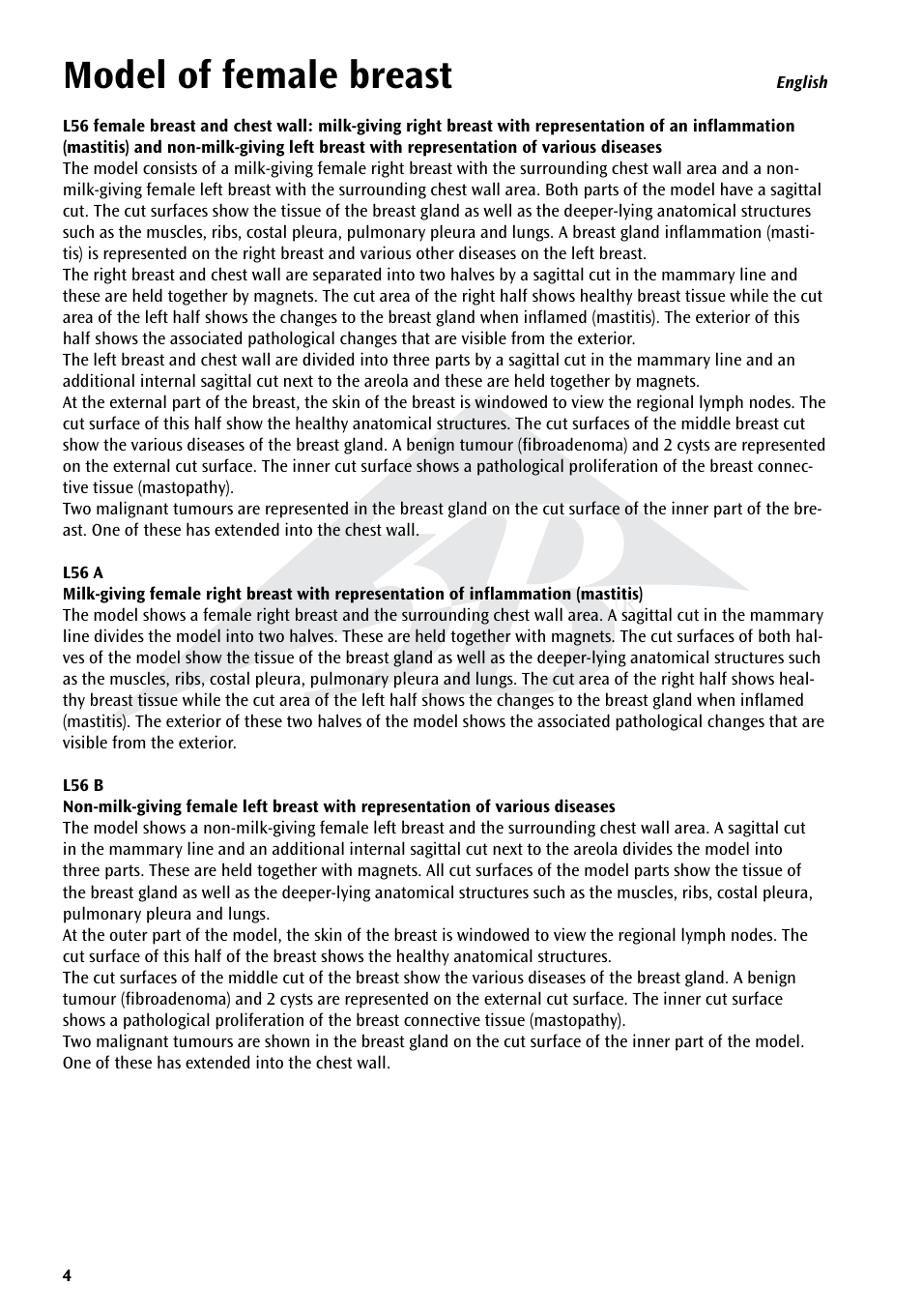 Model of female breast | 3B Scientific Model of female breast User Manual | Page 3 / 30