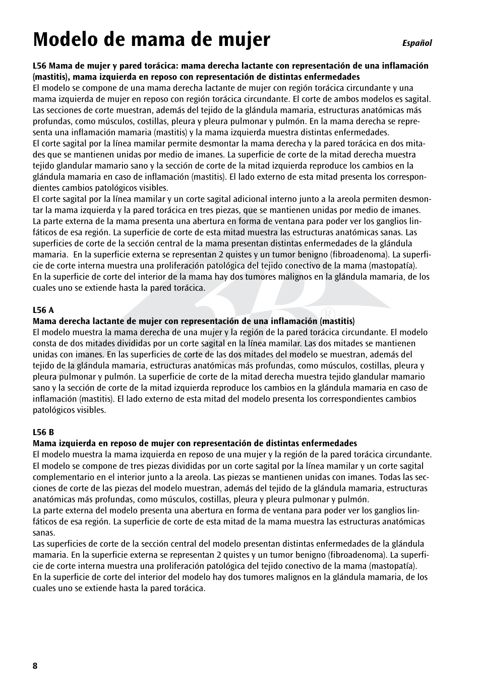 Modelo de mama de mujer | 3B Scientific Model of female breast User Manual | Page 7 / 30