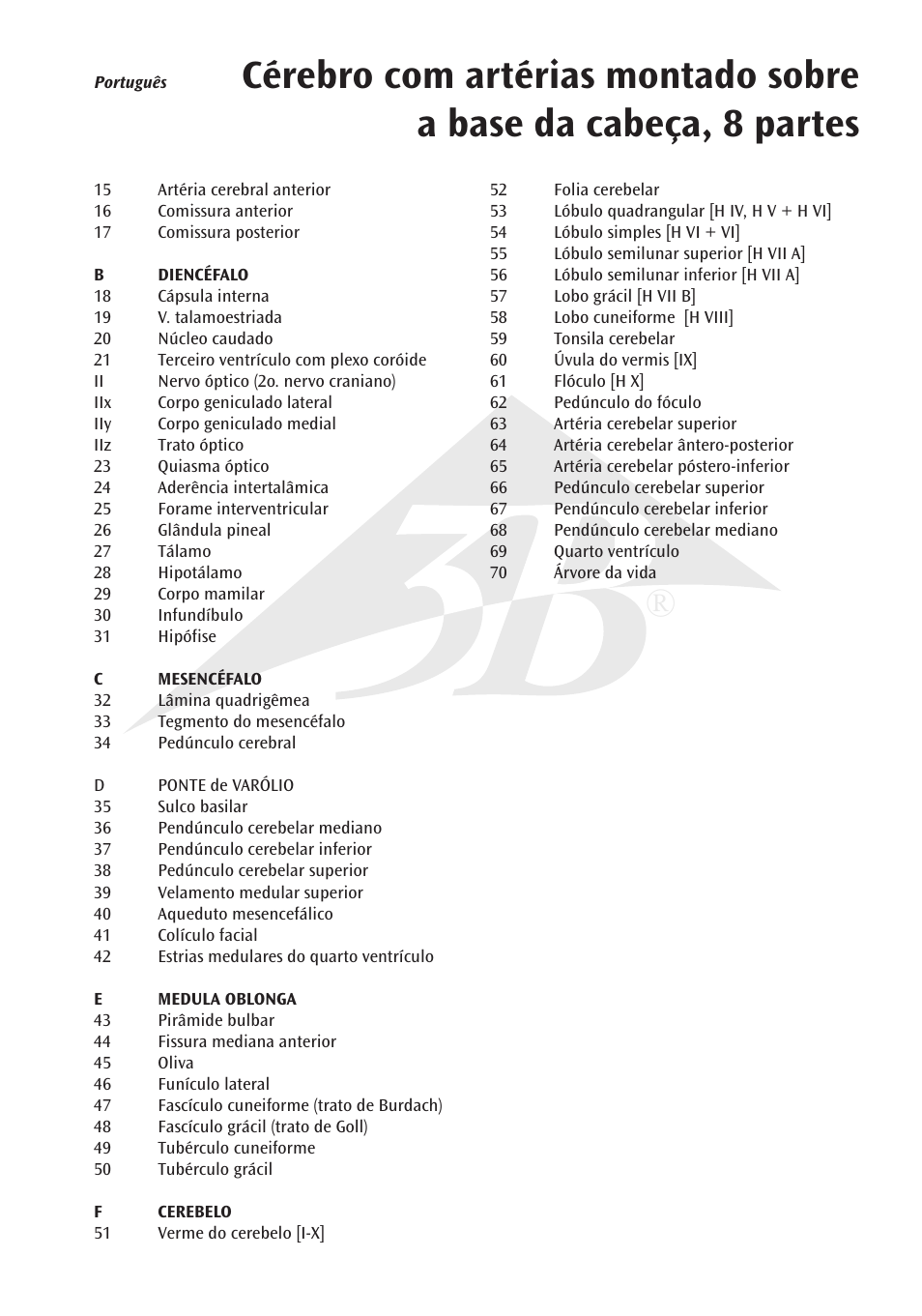 3B Scientific Brain with Arteries on Base of Head, 8 part User Manual | Page 13 / 20