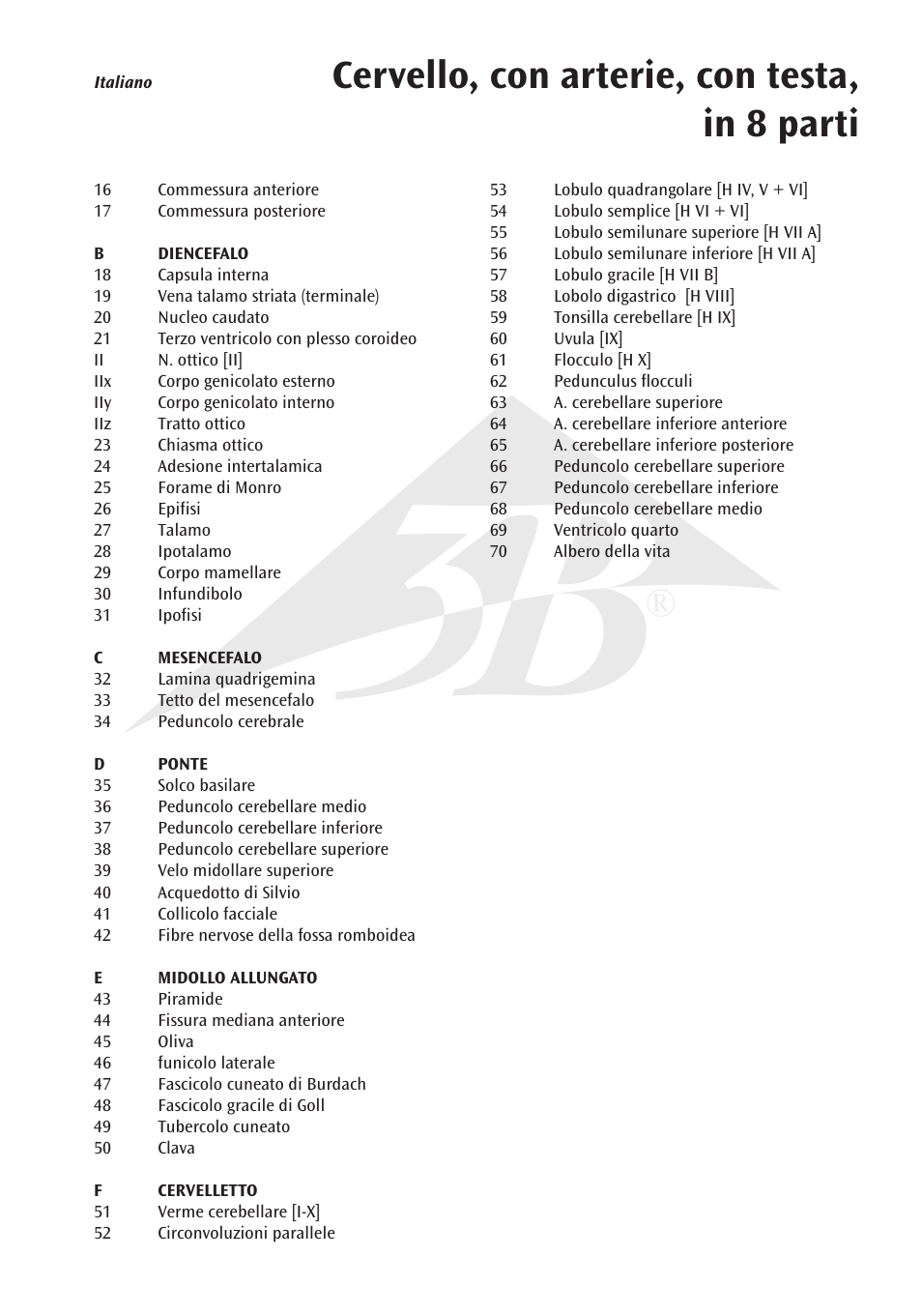 Cervello, con arterie, con testa, in 8 parti | 3B Scientific Brain with Arteries on Base of Head, 8 part User Manual | Page 15 / 20