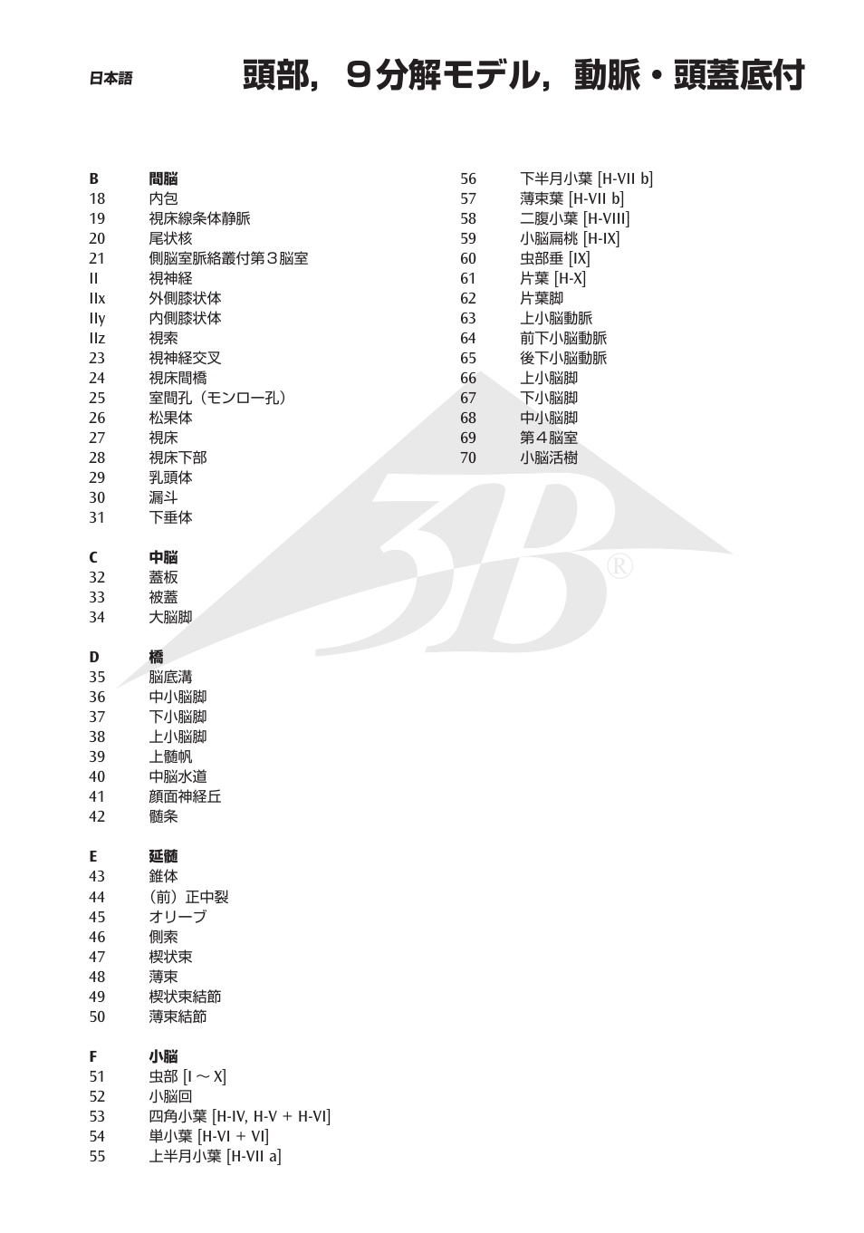 頭部，９分解モデル，動脈・頭蓋底付 | 3B Scientific Brain with Arteries on Base of Head, 8 part User Manual | Page 17 / 20