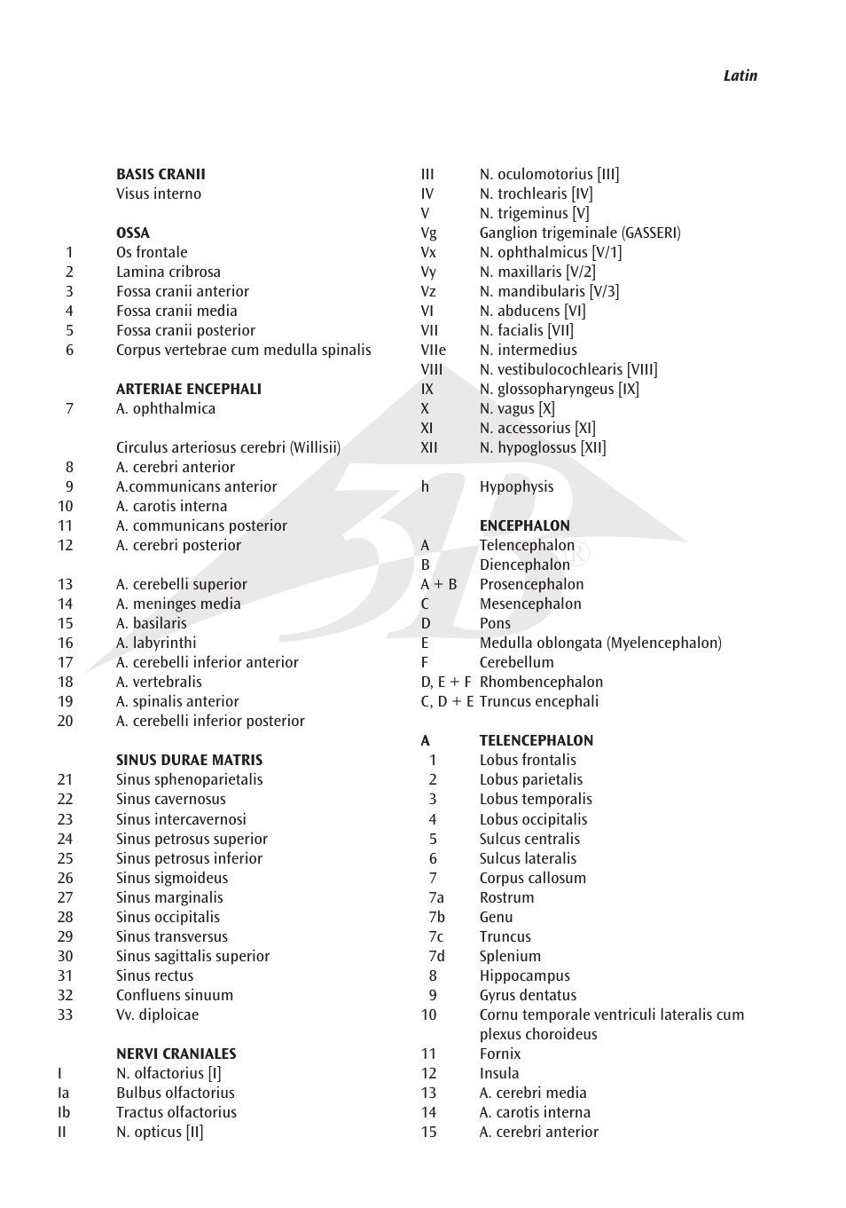 3B Scientific Brain with Arteries on Base of Head, 8 part User Manual | Page 2 / 20