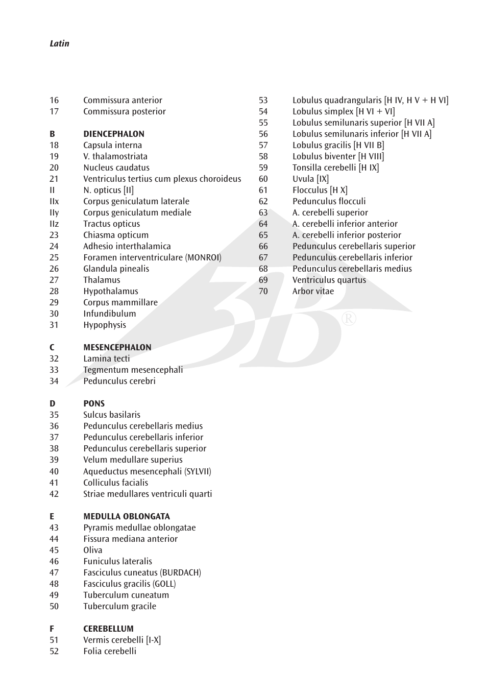 3B Scientific Brain with Arteries on Base of Head, 8 part User Manual | Page 3 / 20