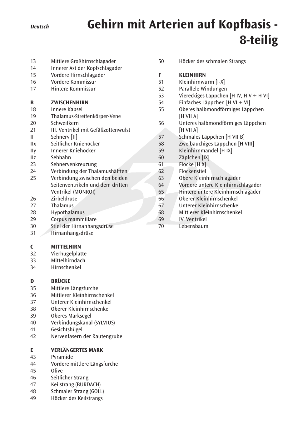 Gehirn mit arterien auf kopfbasis - 8-teilig | 3B Scientific Brain with Arteries on Base of Head, 8 part User Manual | Page 7 / 20