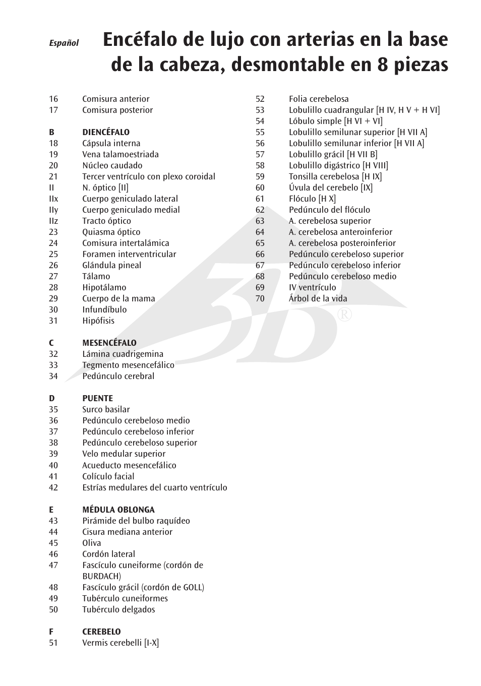 3B Scientific Brain with Arteries on Base of Head, 8 part User Manual | Page 9 / 20