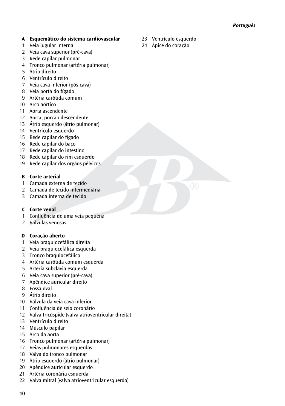 3B Scientific Human Blood Circulation Chart User Manual | Page 10 / 16