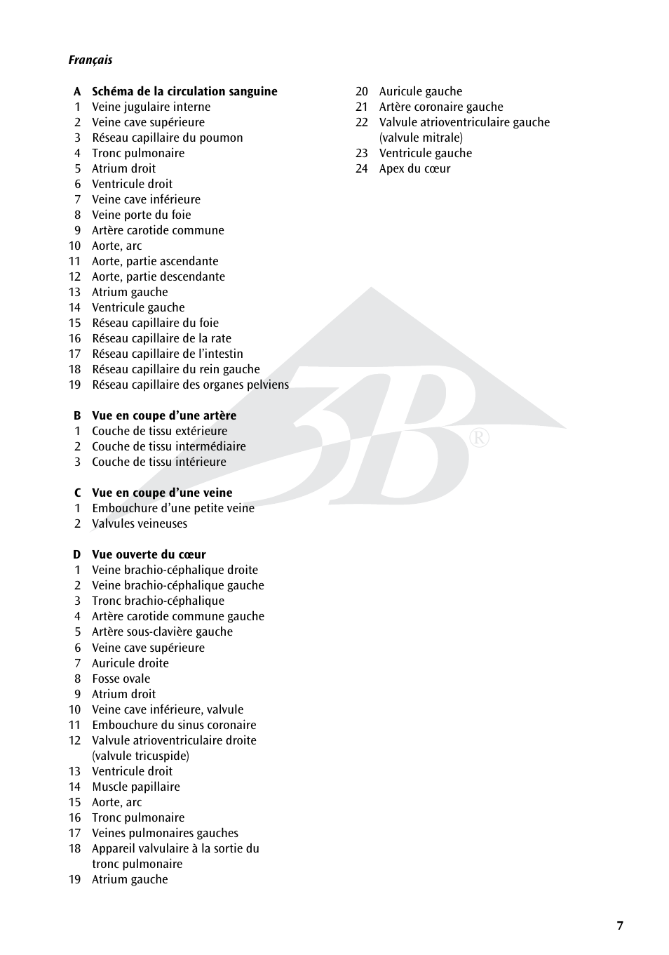3B Scientific Human Blood Circulation Chart User Manual | Page 7 / 16