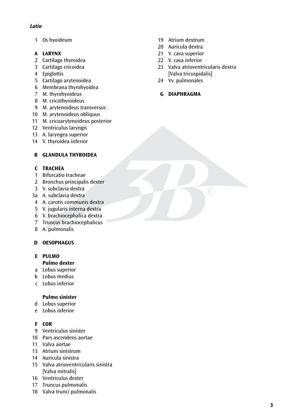 3B Scientific Lung Model with larynx, 7 part User Manual | Page 3 / 16