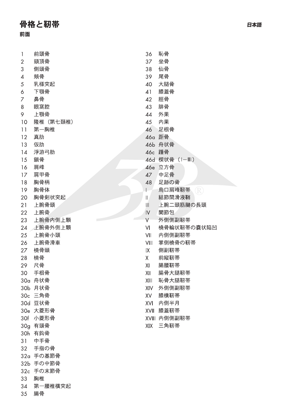 3b micro anatomy, 舌の組織構造モデル | 3B Scientific The Human Skeleton Chart, front User Manual | Page 10 / 16