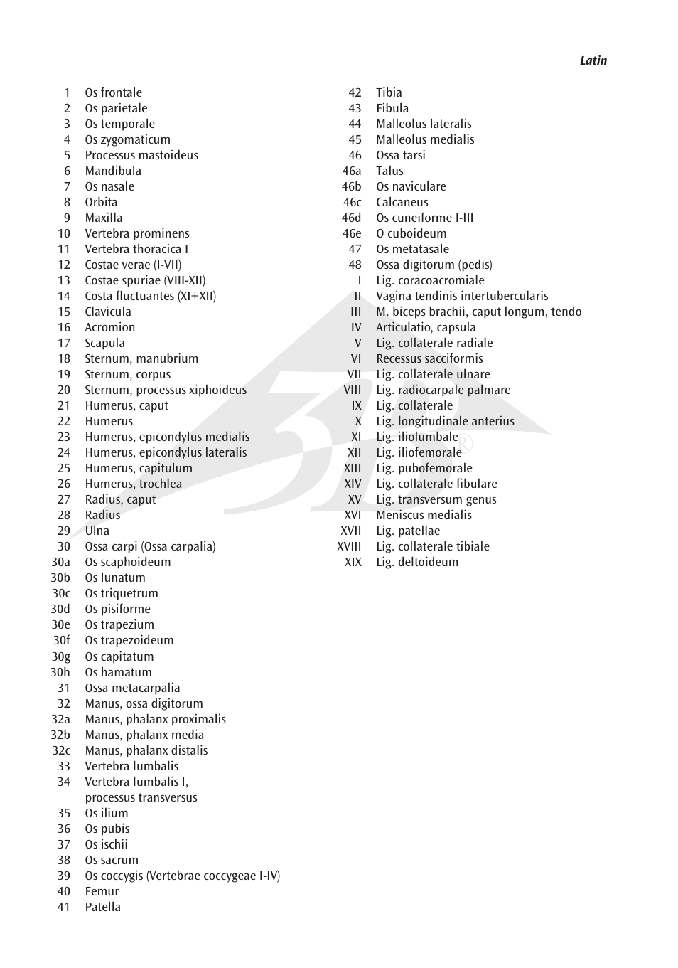 3B Scientific The Human Skeleton Chart, front User Manual | Page 2 / 16