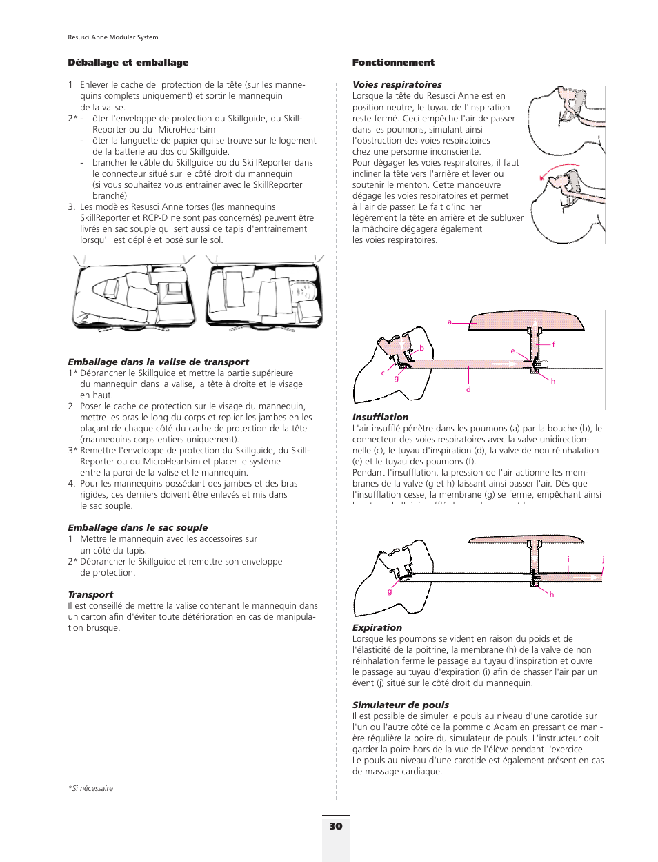 3B Scientific Resusci Anne CPR Torso User Manual | Page 28 / 73