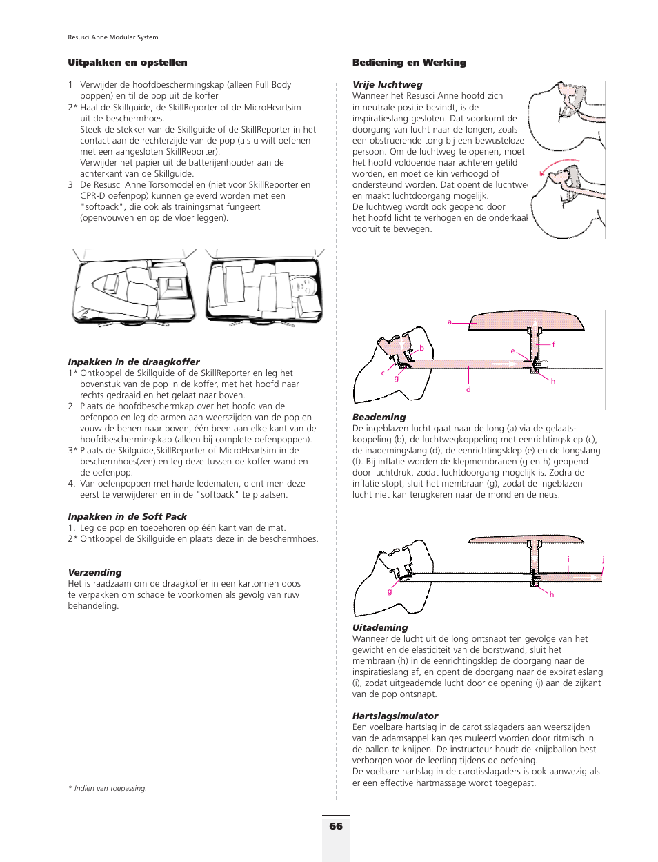 3B Scientific Resusci Anne CPR Torso User Manual | Page 64 / 73