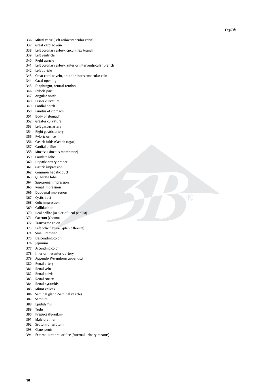 3B Scientific Life size Male Muscular Figure, 37-part User Manual | Page 10 / 60