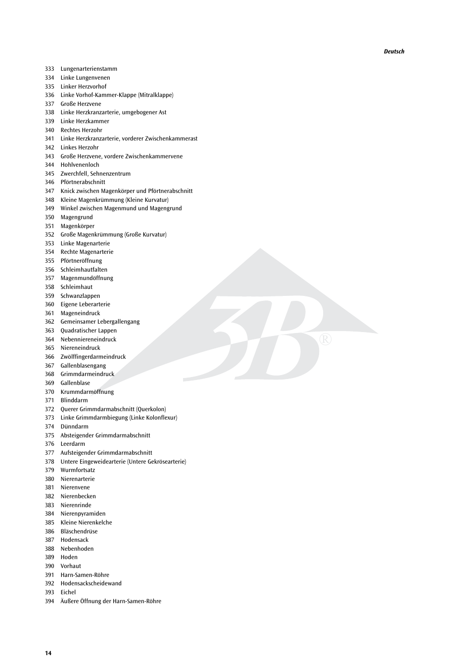 3B Scientific Life size Male Muscular Figure, 37-part User Manual | Page 14 / 60