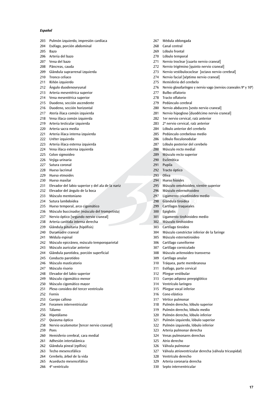 3B Scientific Life size Male Muscular Figure, 37-part User Manual | Page 17 / 60