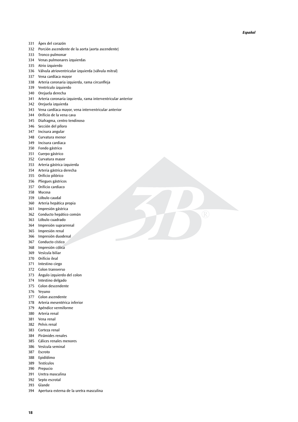 3B Scientific Life size Male Muscular Figure, 37-part User Manual | Page 18 / 60