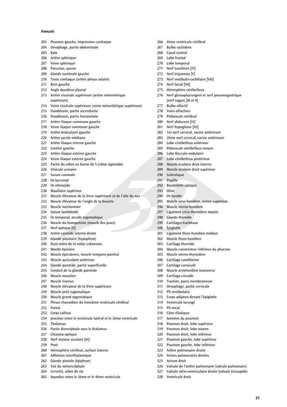 3B Scientific Life size Male Muscular Figure, 37-part User Manual | Page 21 / 60