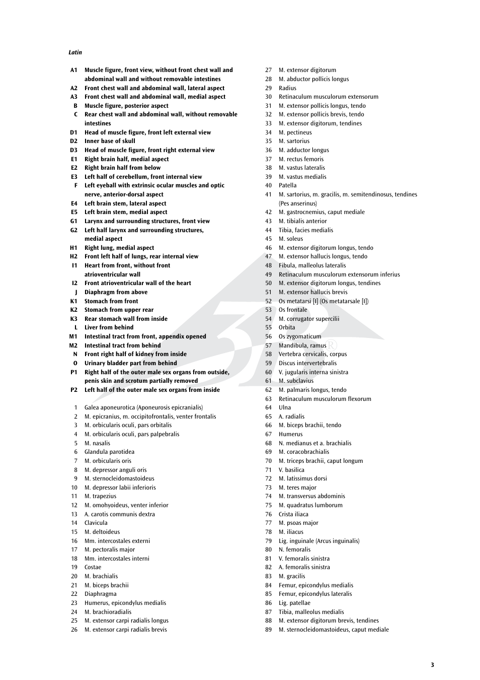 3B Scientific Life size Male Muscular Figure, 37-part User Manual | Page 3 / 60