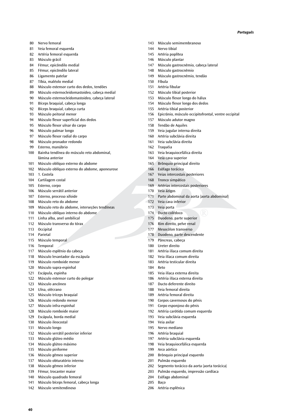 3B Scientific Life size Male Muscular Figure, 37-part User Manual | Page 40 / 60