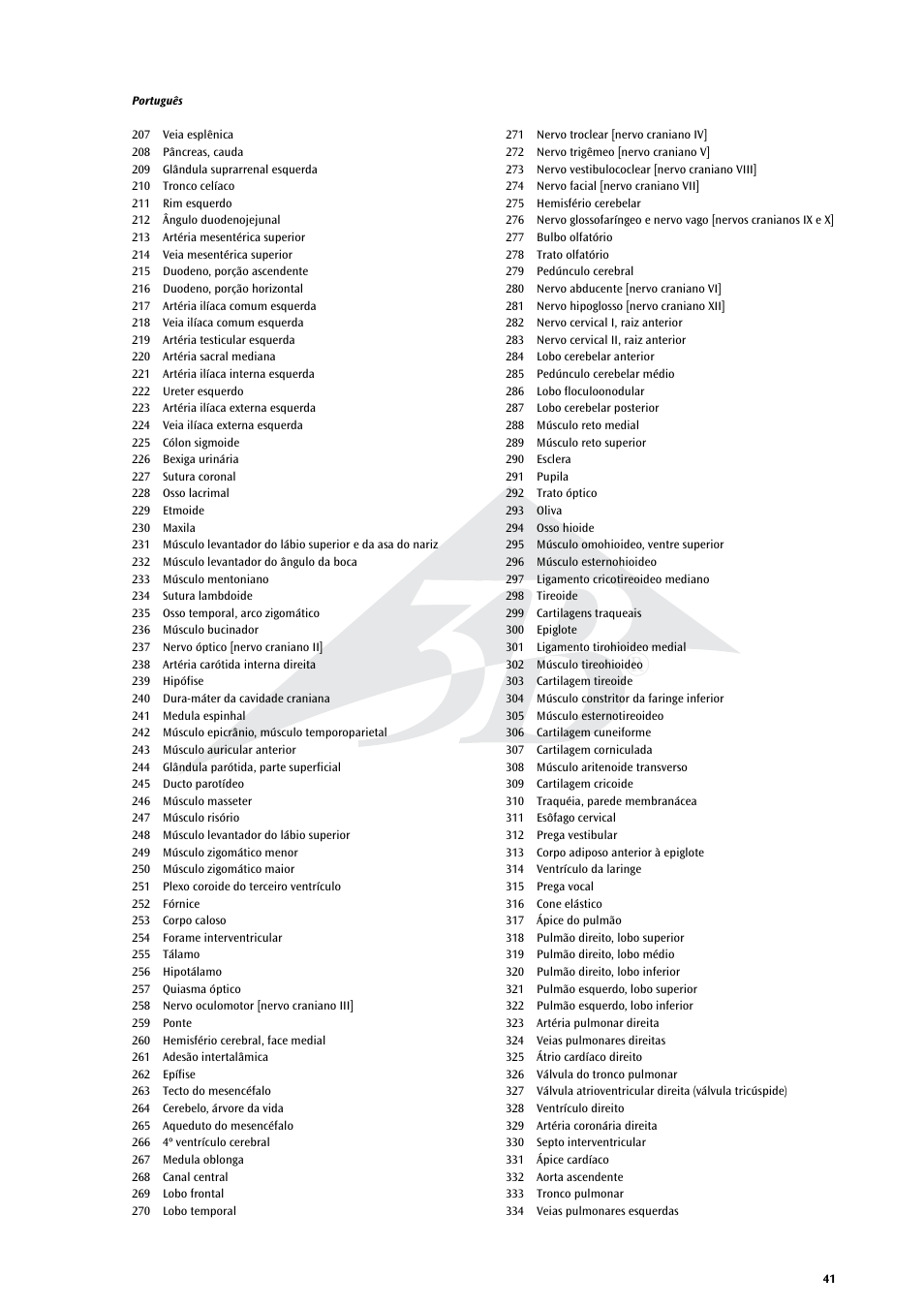 3B Scientific Life size Male Muscular Figure, 37-part User Manual | Page 41 / 60