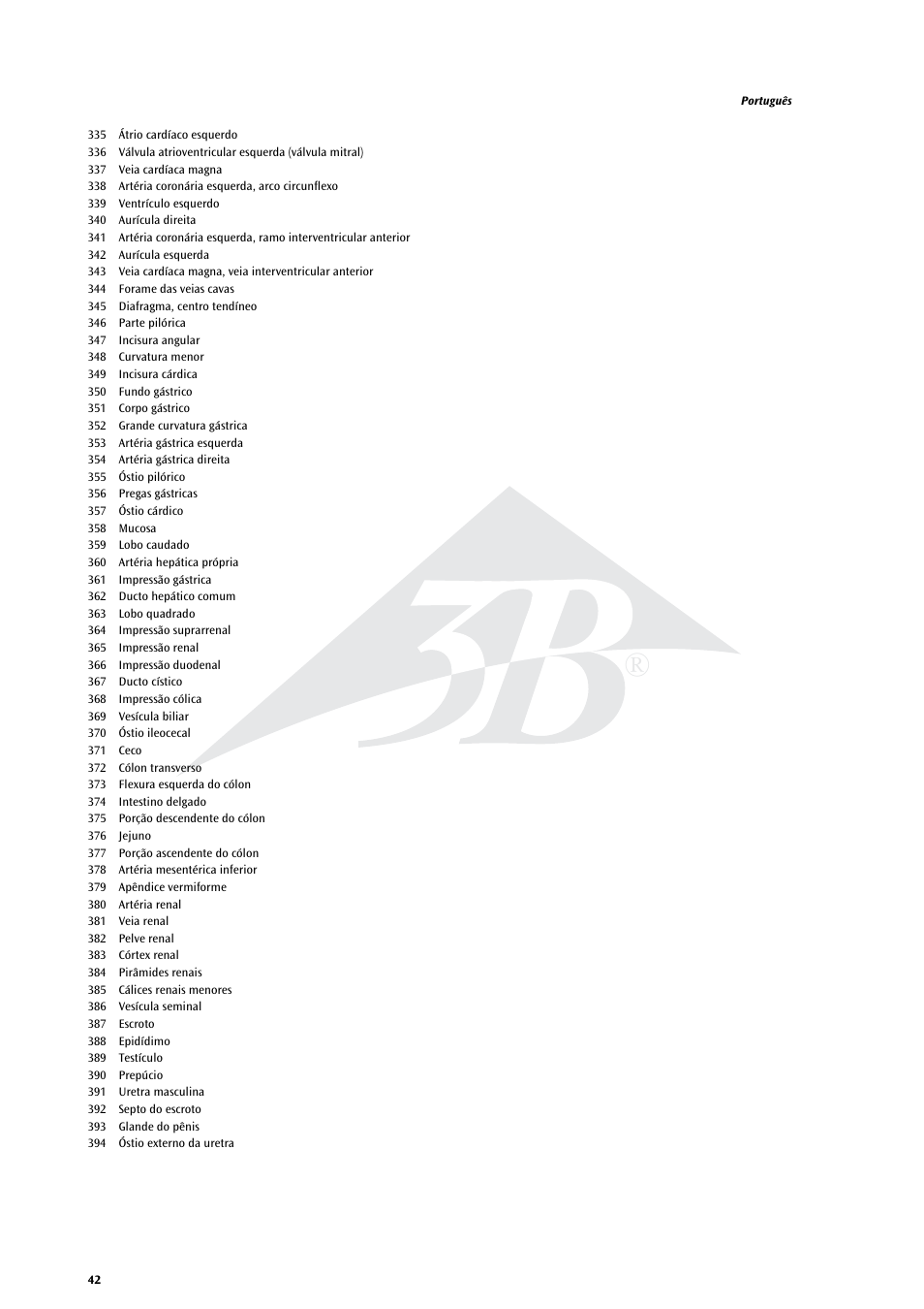 3B Scientific Life size Male Muscular Figure, 37-part User Manual | Page 42 / 60