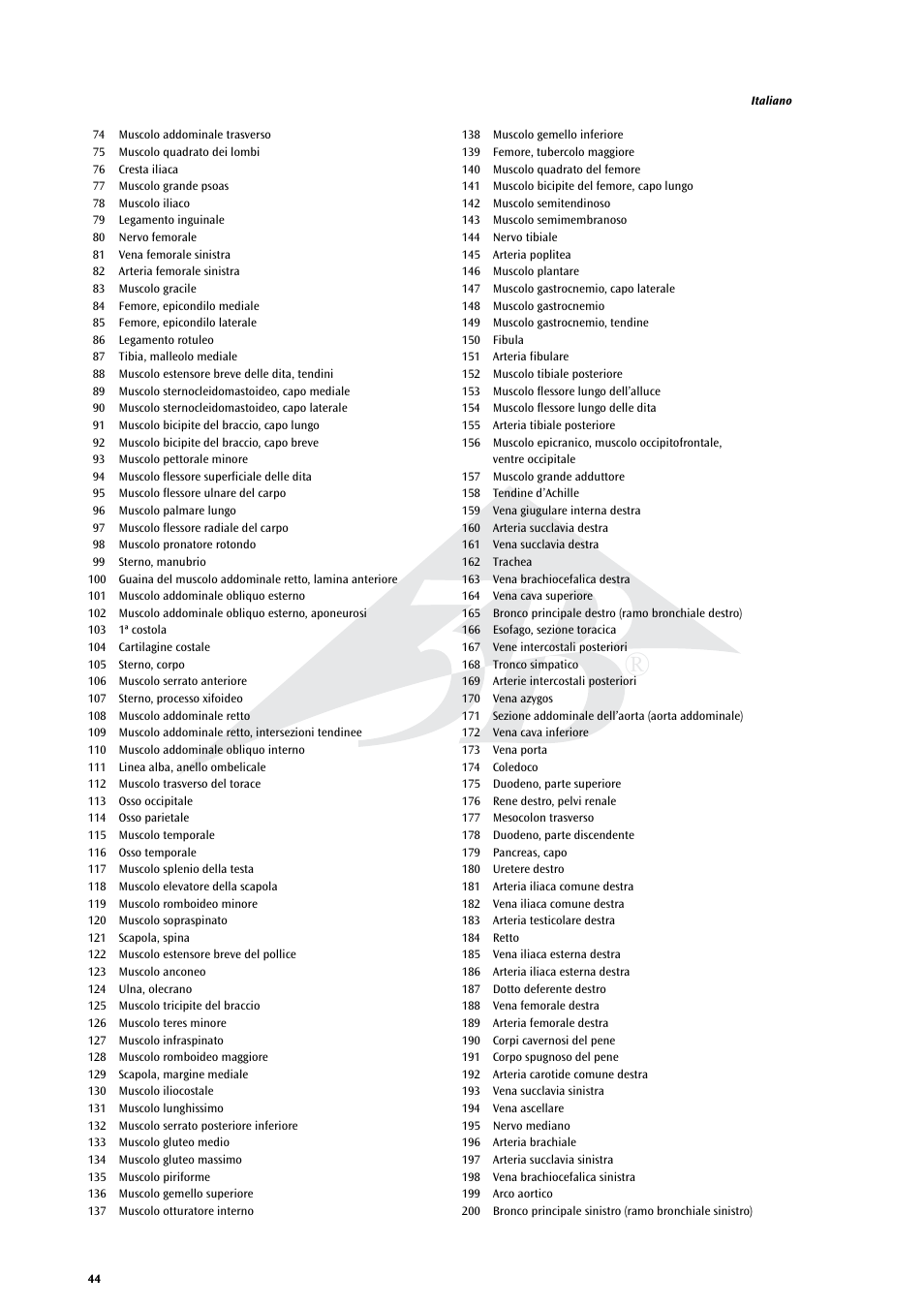 3B Scientific Life size Male Muscular Figure, 37-part User Manual | Page 44 / 60