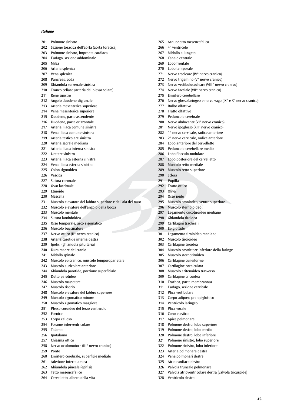 3B Scientific Life size Male Muscular Figure, 37-part User Manual | Page 45 / 60