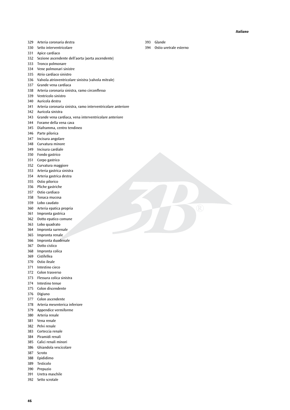 3B Scientific Life size Male Muscular Figure, 37-part User Manual | Page 46 / 60