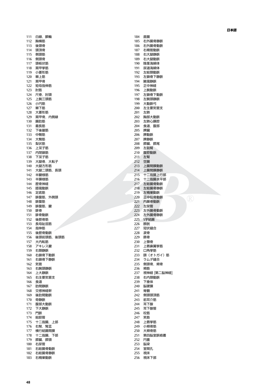 3B Scientific Life size Male Muscular Figure, 37-part User Manual | Page 48 / 60