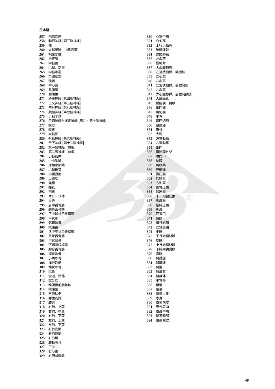 3B Scientific Life size Male Muscular Figure, 37-part User Manual | Page 49 / 60