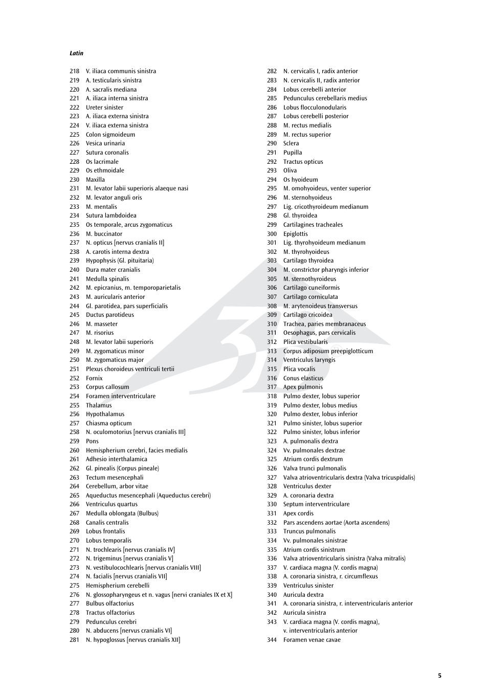 3B Scientific Life size Male Muscular Figure, 37-part User Manual | Page 5 / 60