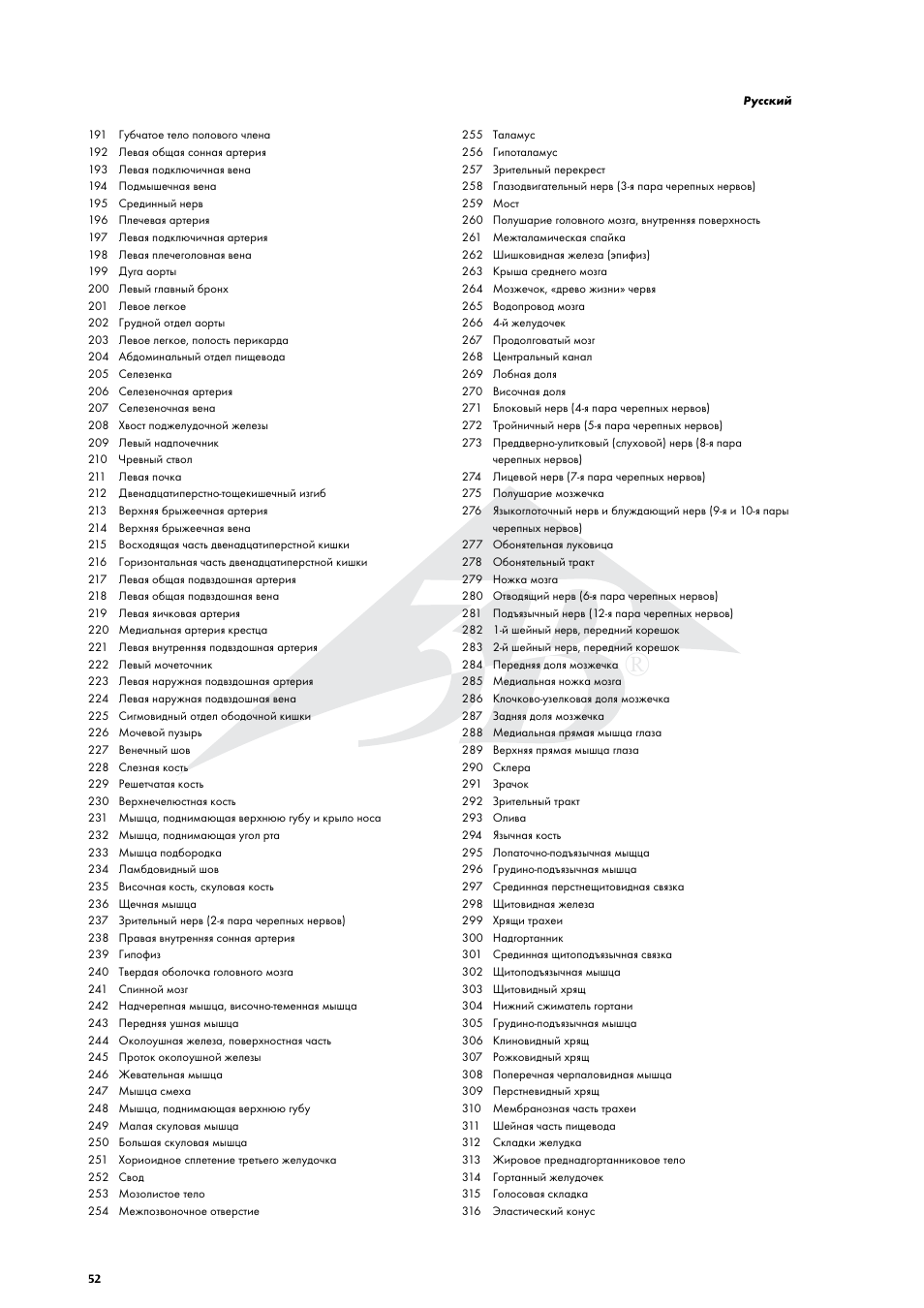 3B Scientific Life size Male Muscular Figure, 37-part User Manual | Page 52 / 60