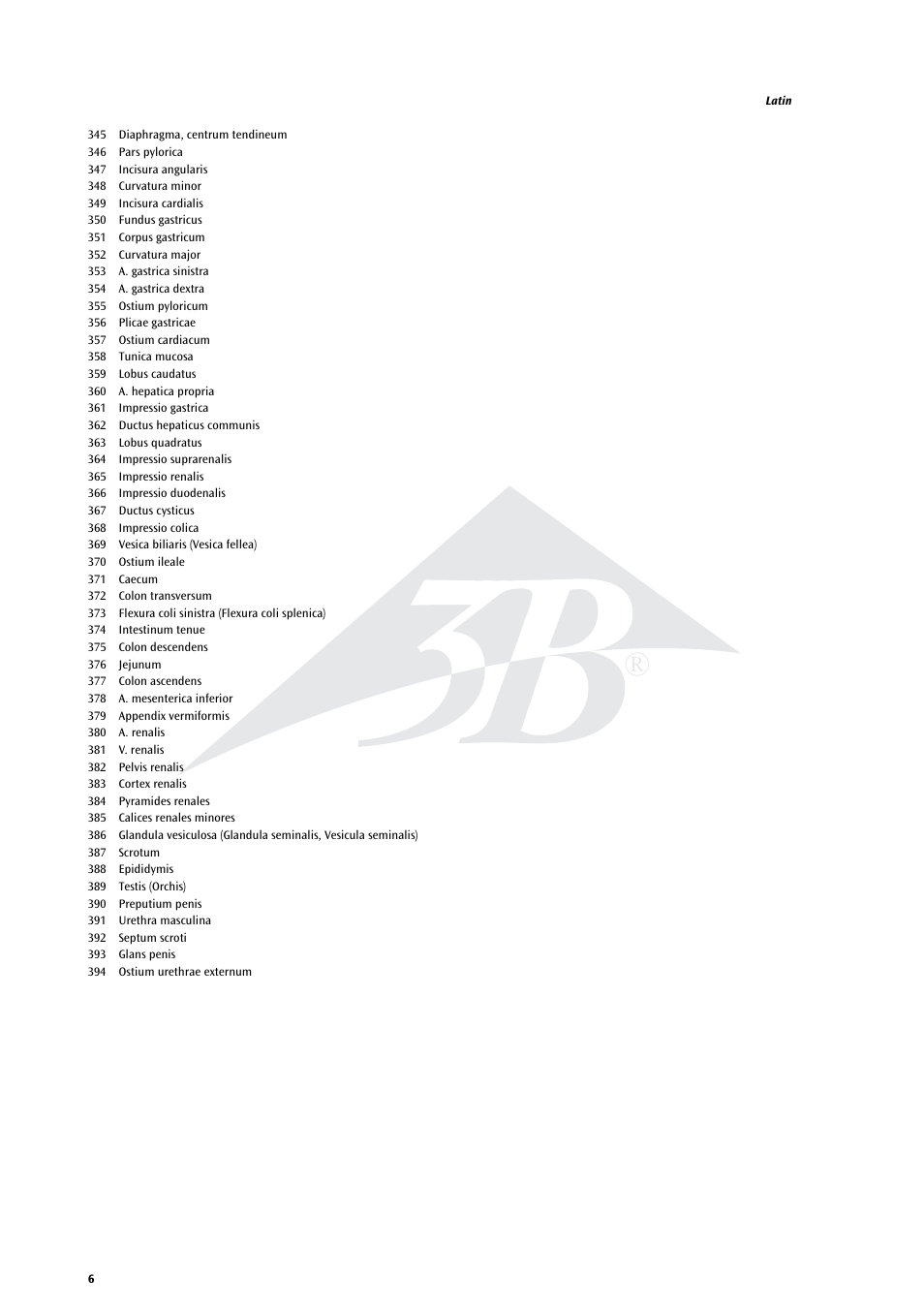 3B Scientific Life size Male Muscular Figure, 37-part User Manual | Page 6 / 60