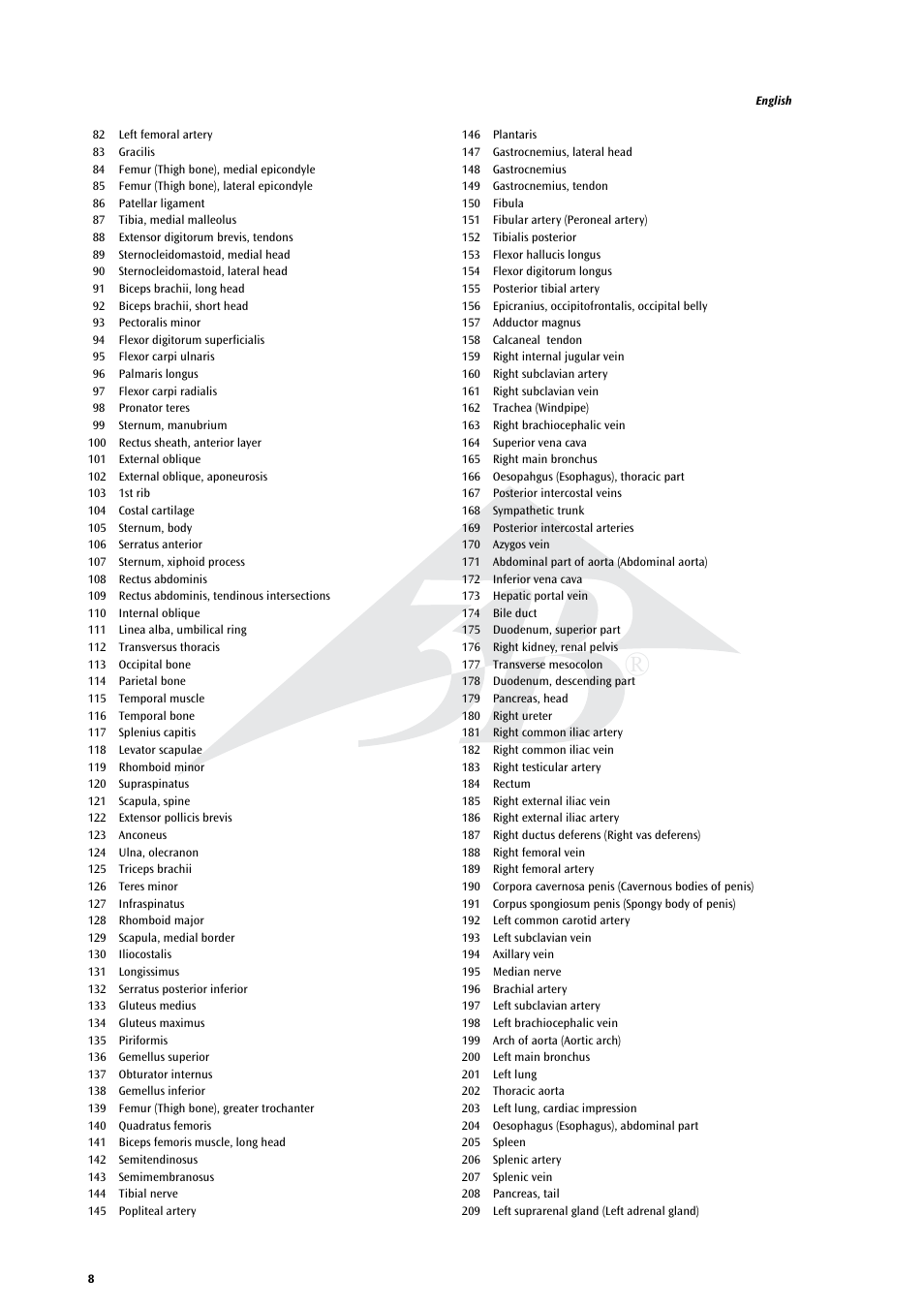 3B Scientific Life size Male Muscular Figure, 37-part User Manual | Page 8 / 60