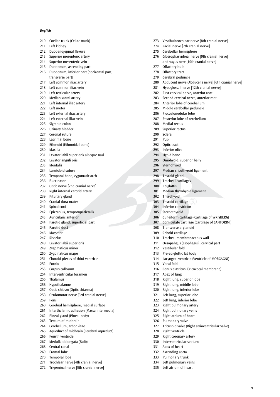 3B Scientific Life size Male Muscular Figure, 37-part User Manual | Page 9 / 60