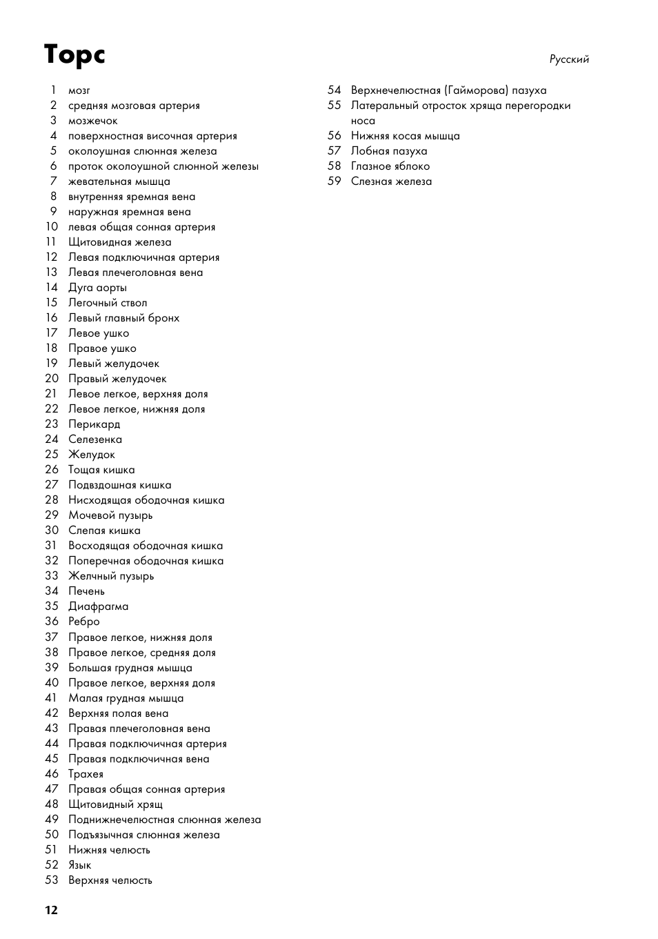 Торс | 3B Scientific Torso Chart User Manual | Page 12 / 16