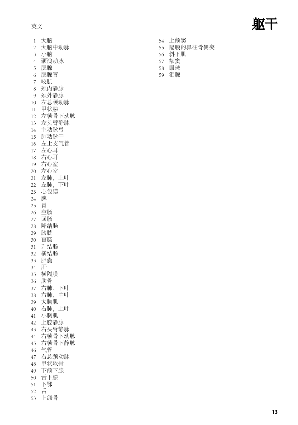 3B Scientific Torso Chart User Manual | Page 13 / 16