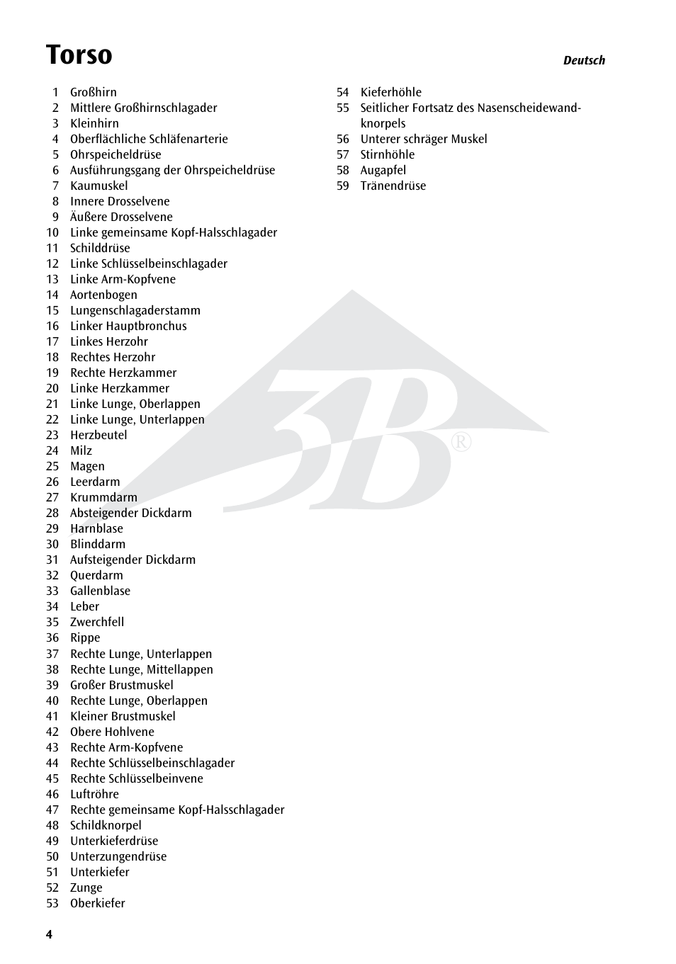 Torso | 3B Scientific Torso Chart User Manual | Page 4 / 16