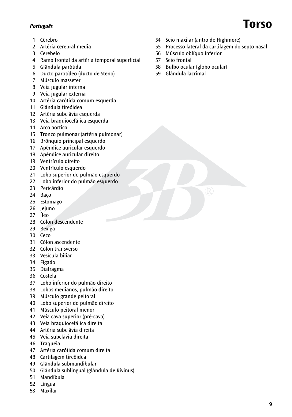 Name, Torso | 3B Scientific Torso Chart User Manual | Page 9 / 16