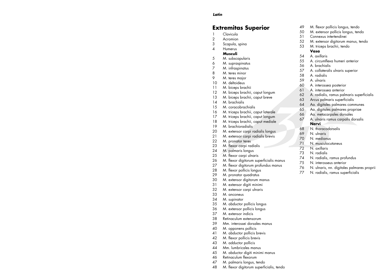 Extremitas superior | 3B Scientific Muscle Arm, 6 part, 3__4 Life Size User Manual | Page 2 / 7