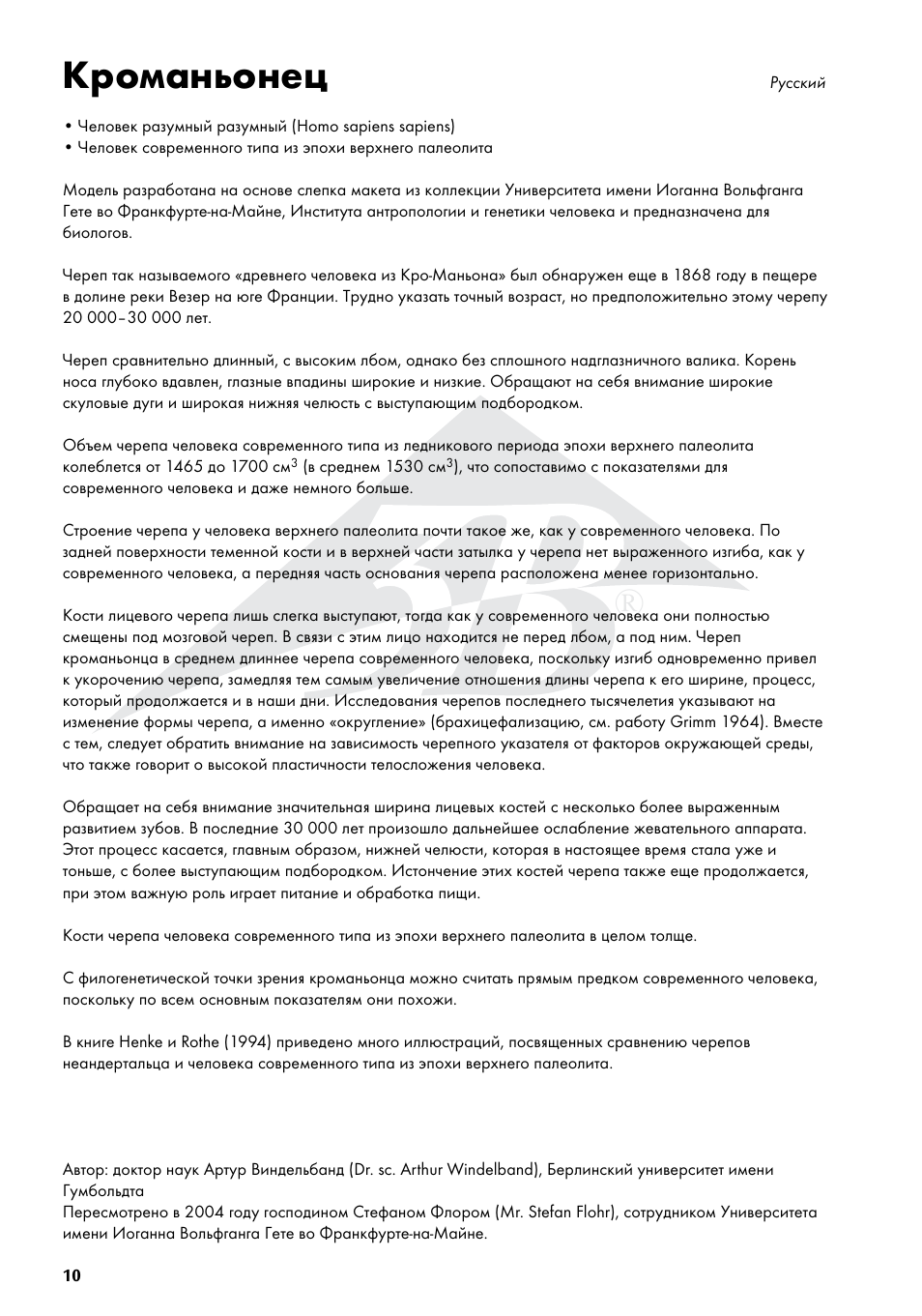 Кроманьонец | 3B Scientific Anthropological Skull Model - Cro-Magnon User Manual | Page 10 / 16